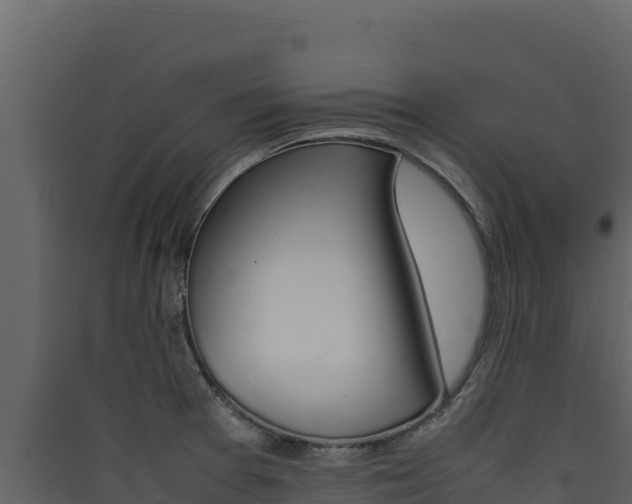 X0000090431377200707130959