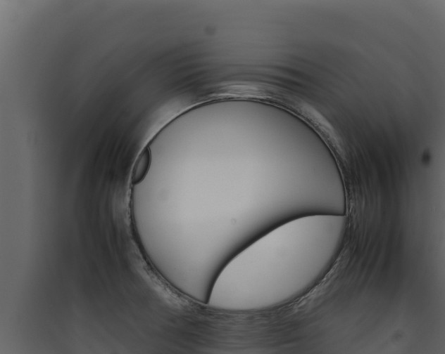 X0000090431378200707130959