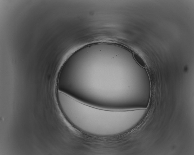 X0000090431379200707130959