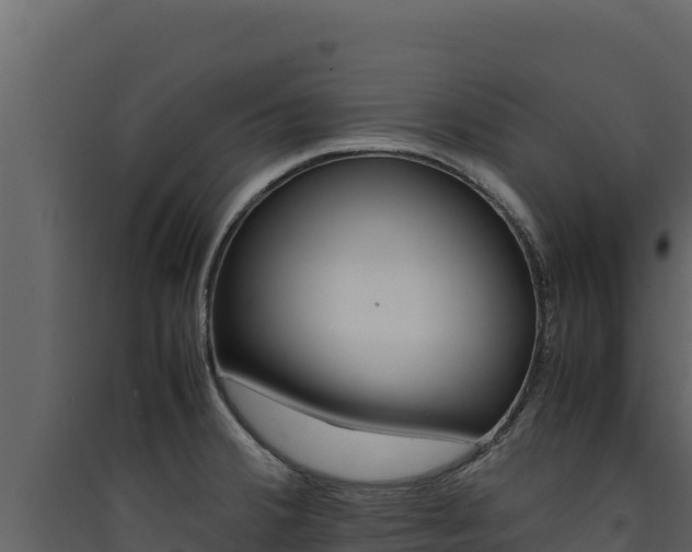 X0000090431380200707130959