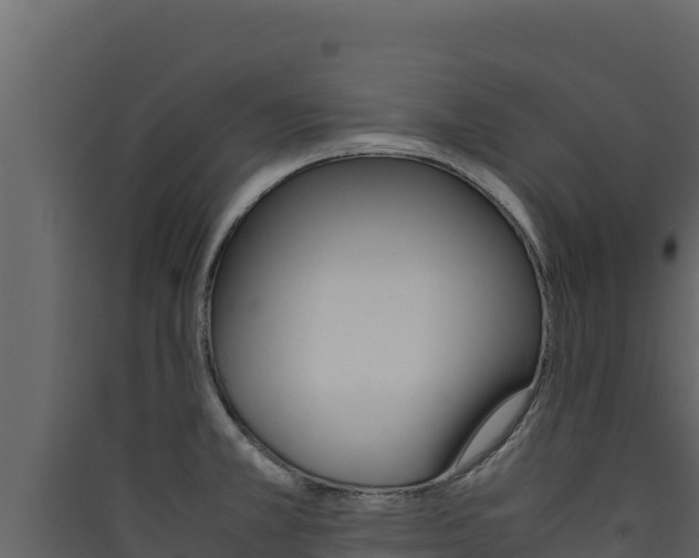 X0000090431381200707130959