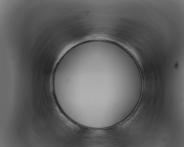 X0000090431382200707130958