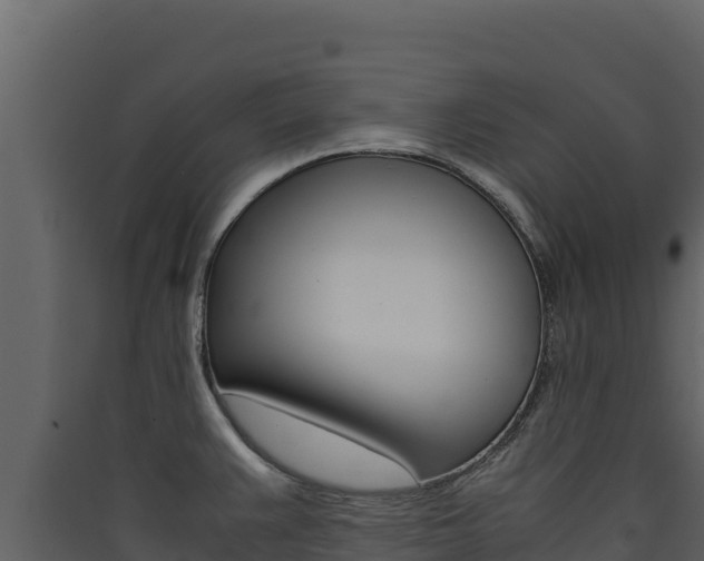 X0000090431383200707130958