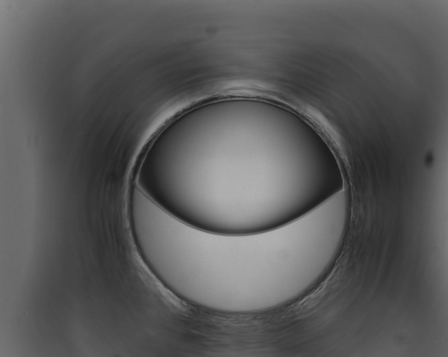 X0000090431384200707130958