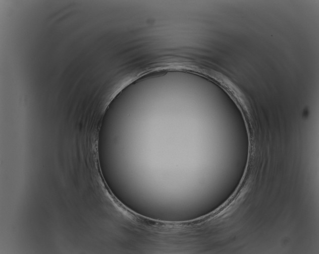 X0000090431385200707130958