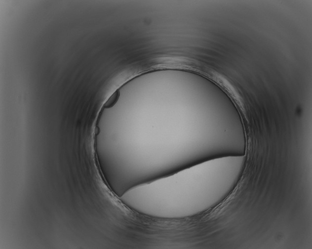 X0000090431386200707130958