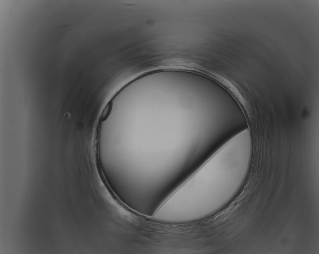 X0000090431387200707130958