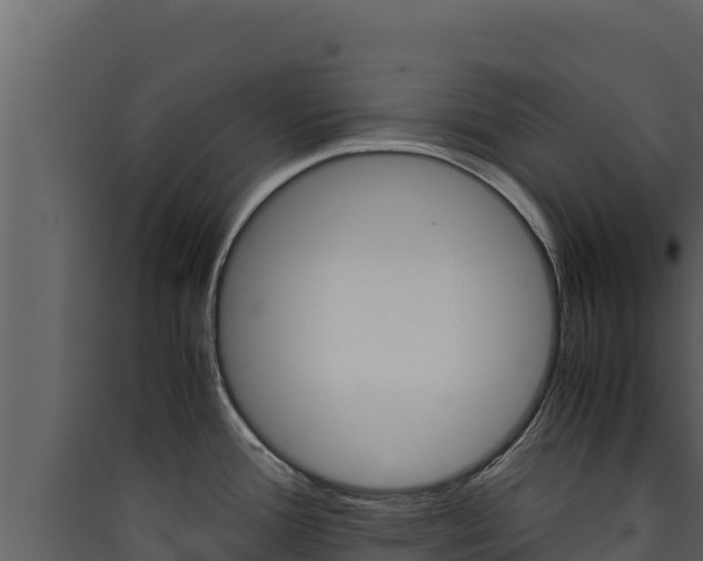 X0000090431388200707130958