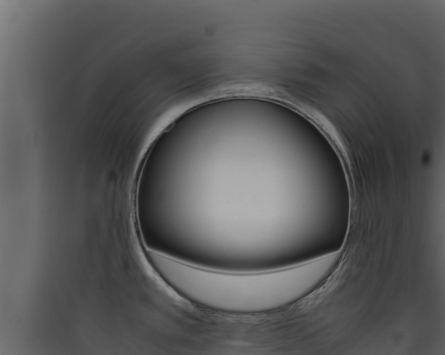 X0000090431389200707130958