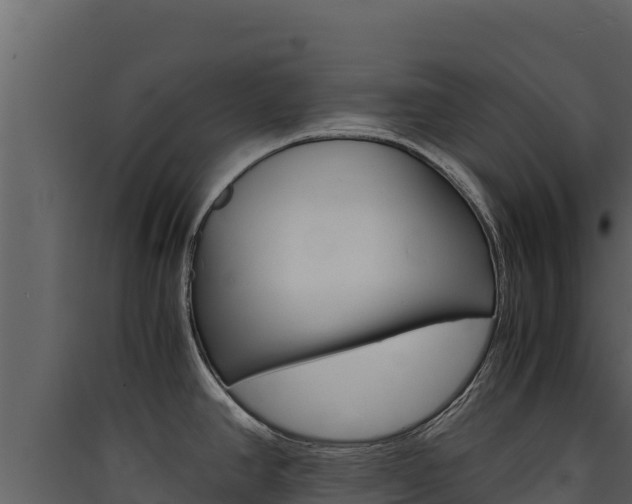 X0000090431390200707130958