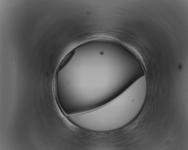 X0000090431391200707130958