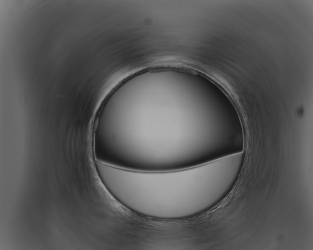 X0000090431392200707130958