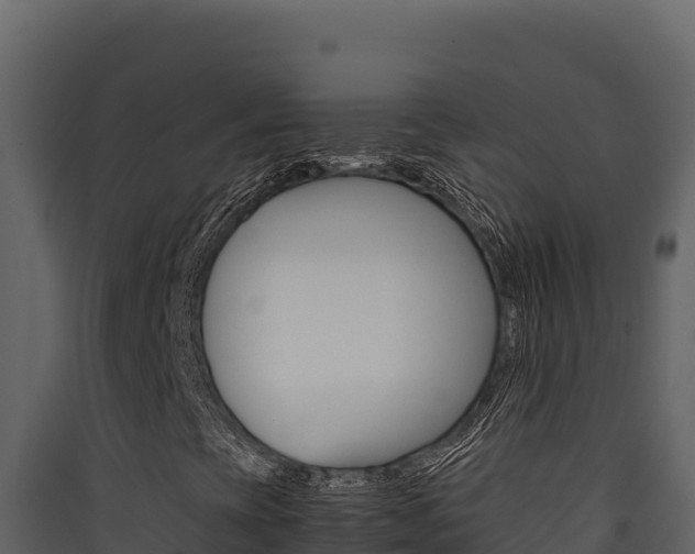 X0000090431393200707130958