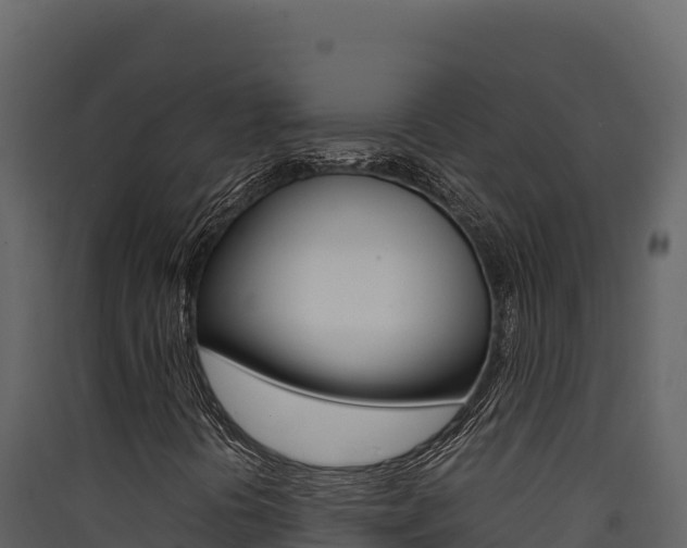 X0000090431394200707130958