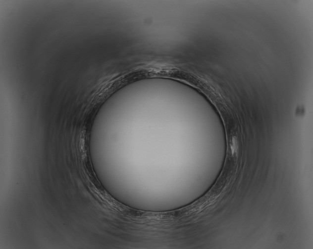 X0000090431396200707130958