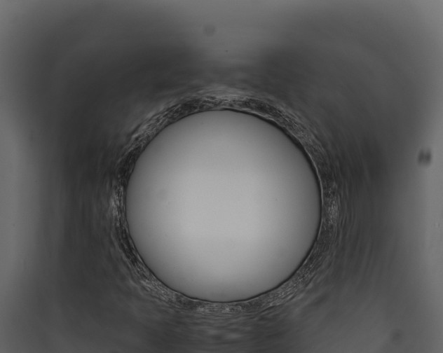 X0000090431397200707130958