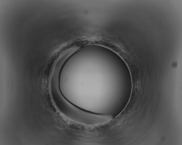 X0000090431398200707130958