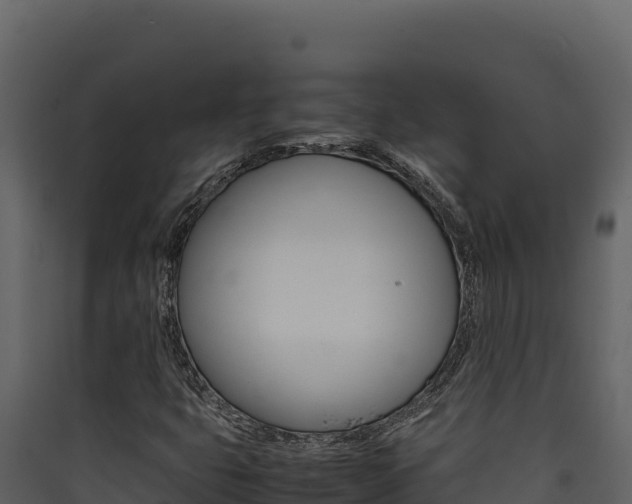 X0000090431399200707130958