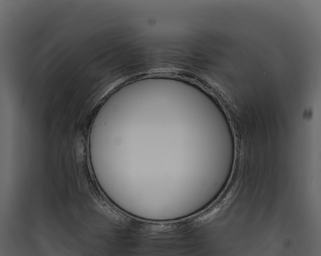X0000090431401200707130958
