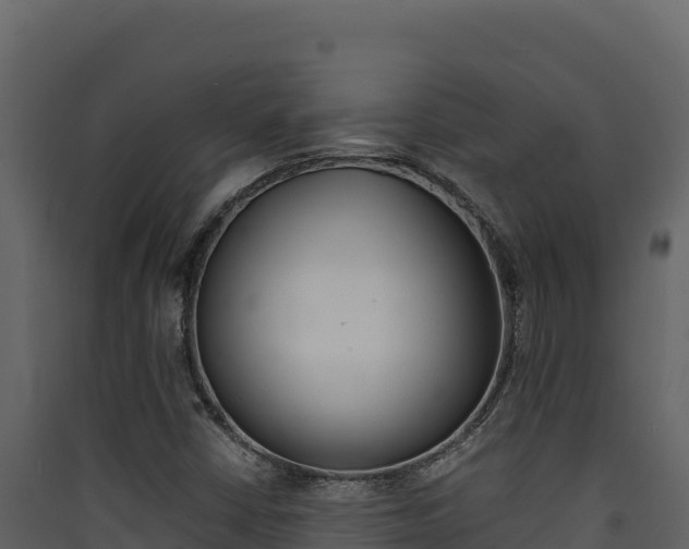 X0000090431402200707130958