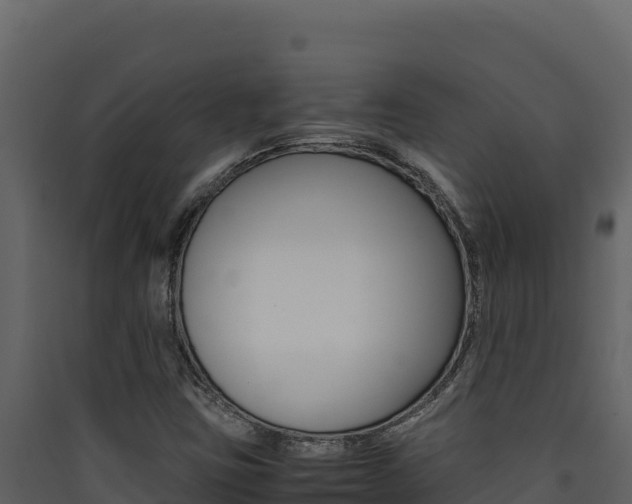 X0000090431403200707130958