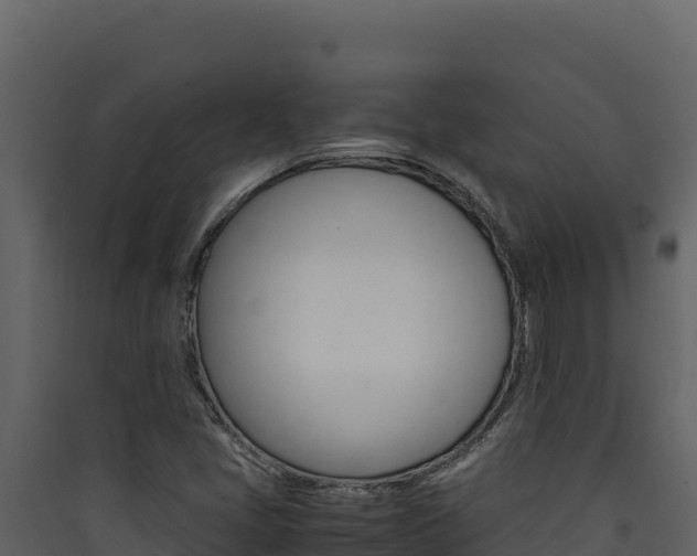 X0000090431405200707130958