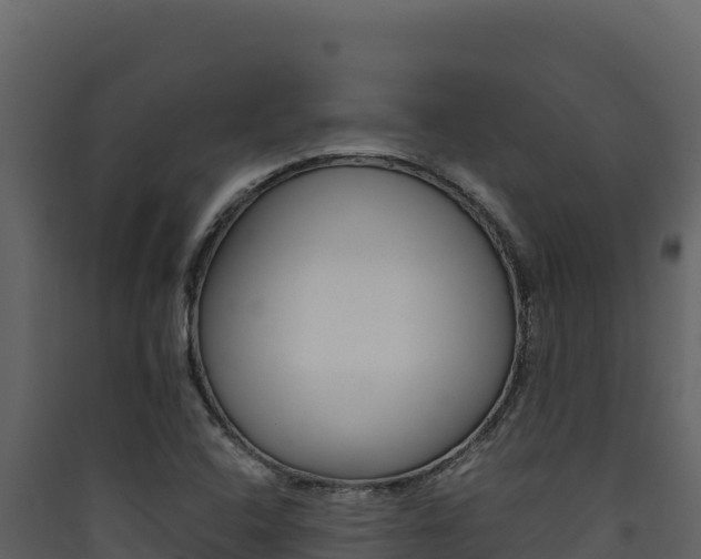 X0000090431408200707130958