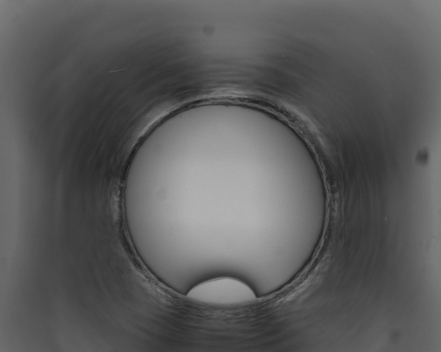 X0000090431409200707130958