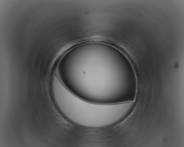 X0000090431410200707130958