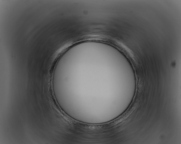 X0000090431411200707130958