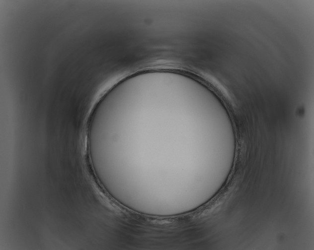 X0000090431413200707130958