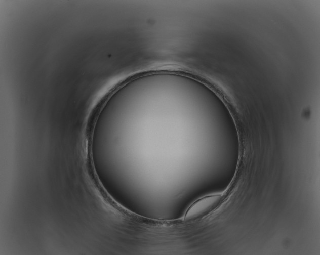 X0000090431414200707130958