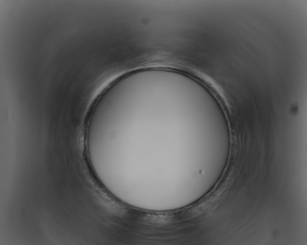 X0000090431415200707130958