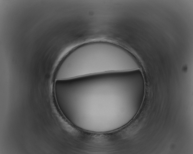 X0000090431416200707130958