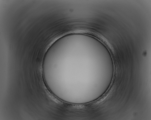 X0000090431417200707130958