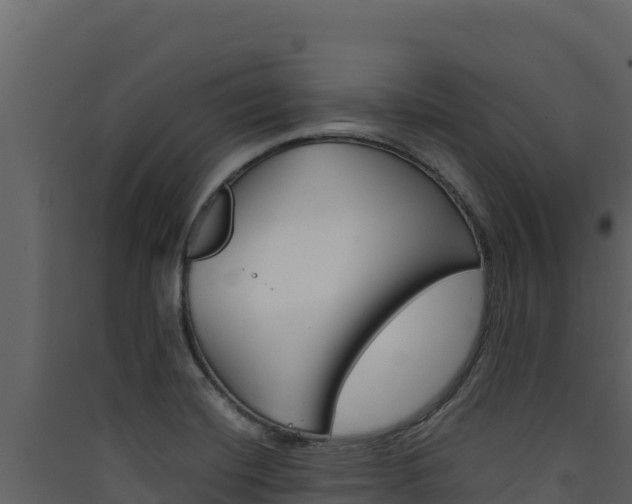 X0000090431420200707130958