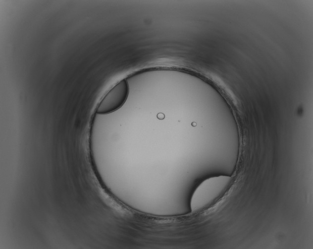 X0000090431421200707130958