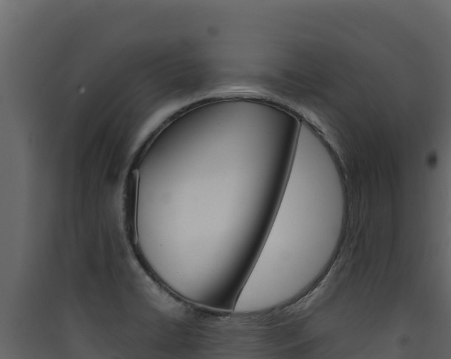 X0000090431422200707130958