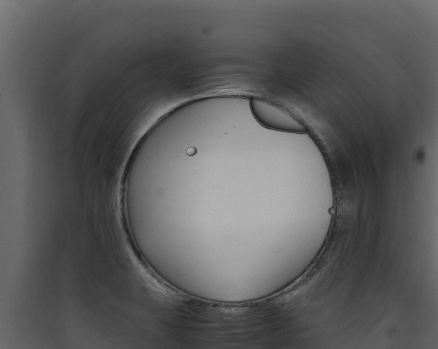 X0000090431423200707130958