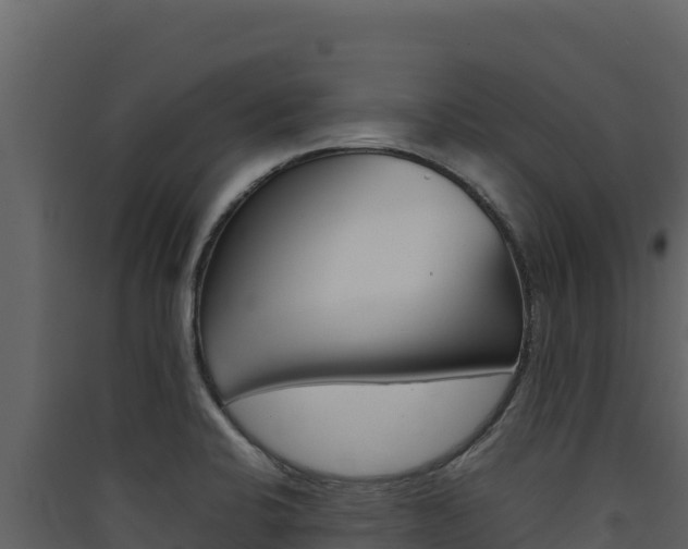 X0000090431424200707130958