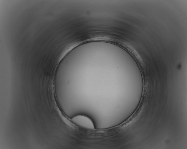 X0000090431425200707130958