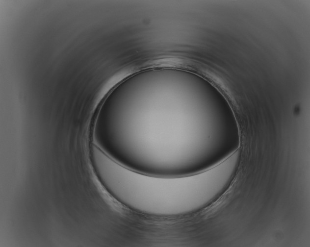 X0000090431426200707130958
