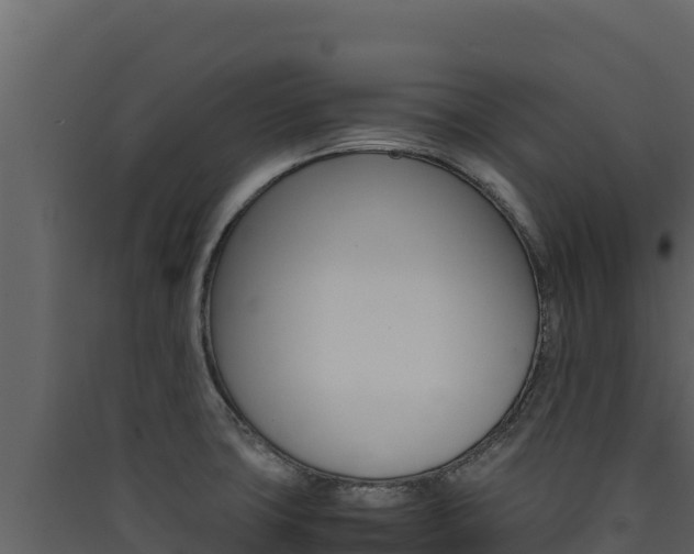 X0000090431427200707130958