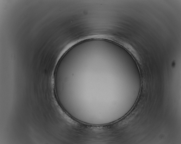 X0000090431428200707130958