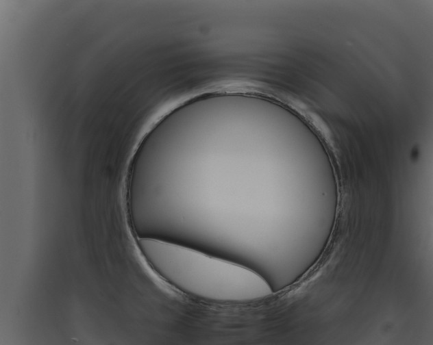 X0000090431429200707130958