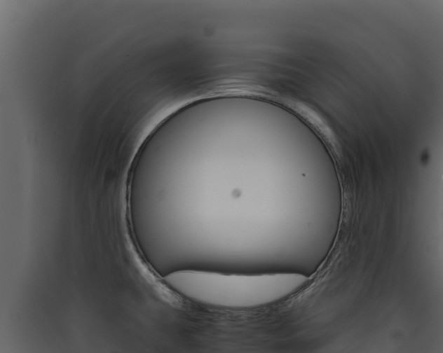 X0000090431431200707130958