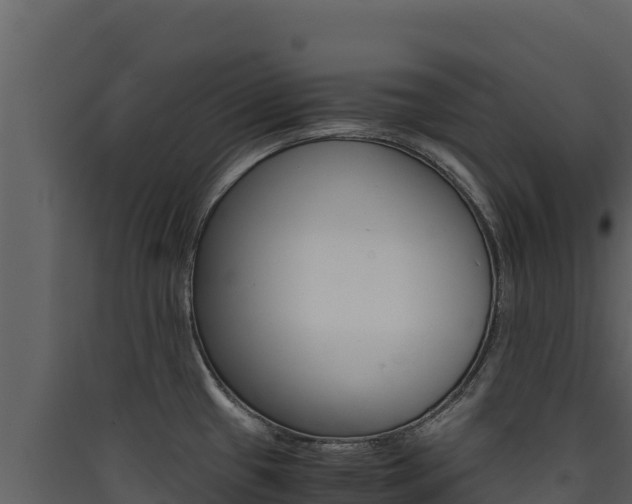 X0000090431433200707130958