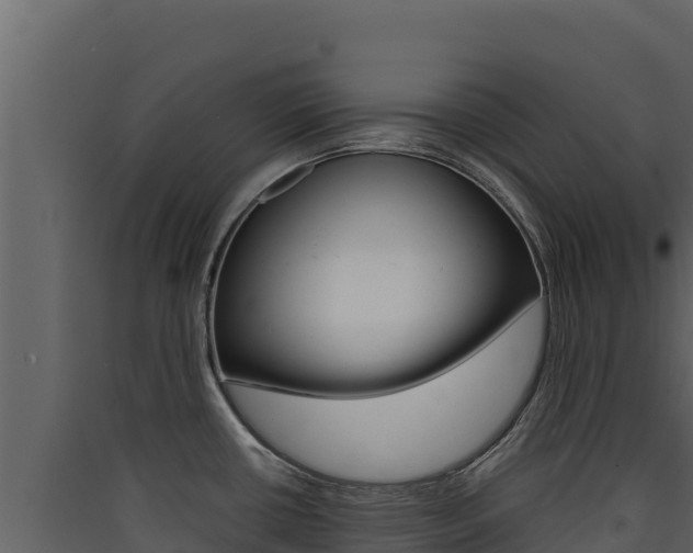 X0000090431434200707130958