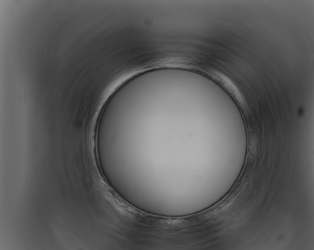 X0000090431435200707130958