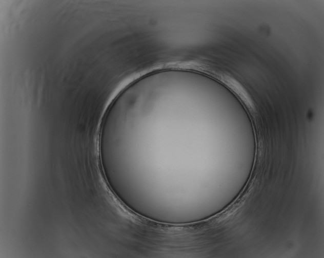 X0000090431436200707130958